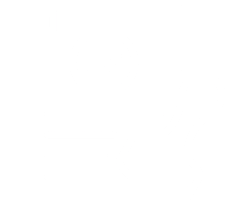 Icon Verordnung-1